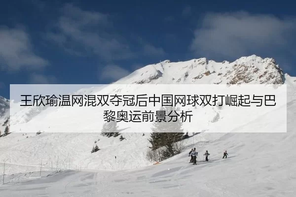 wang-xin-yu-wen-wang-hun-shuang-duo-guan-hou-zhong-guo-wang-qiu-shuang-da-jue-qi-yu-ba-li-ao-yun-qian-jing-fen-xi-3-886.jpg